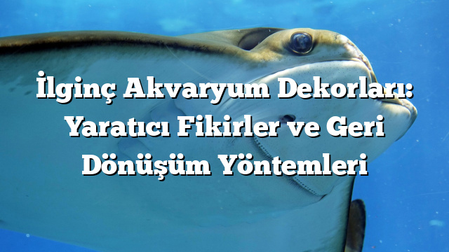 İlginç Akvaryum Dekorları: Yaratıcı Fikirler ve Geri Dönüşüm Yöntemleri ...