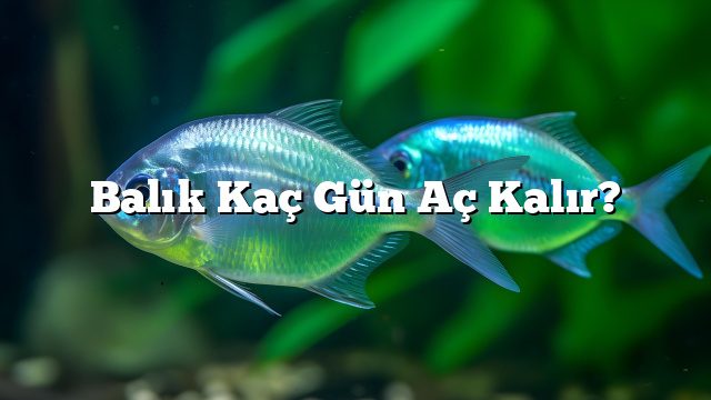 Balık Kaç Gün Aç Kalır?