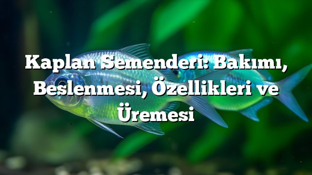 Kaplan Semenderi: Bakımı, Beslenmesi, Özellikleri ve Üremesi Kaplan Semenderi: Bakımı, Beslenmesi, Özellikleri ve Üremesi