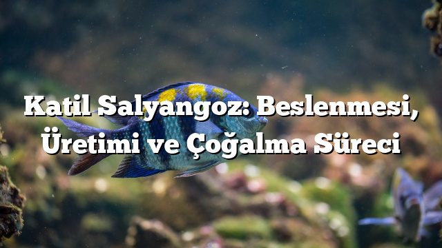 Katil Salyangoz: Beslenmesi, Üretimi ve Çoğalma Süreci Katil Salyangoz: Beslenmesi, Üretimi ve Çoğalma Süreci