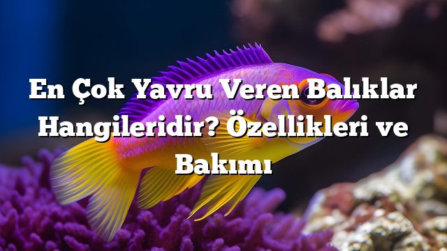 En Çok Yavru Veren Balıklar Hangileridir? Özellikleri ve Bakımı