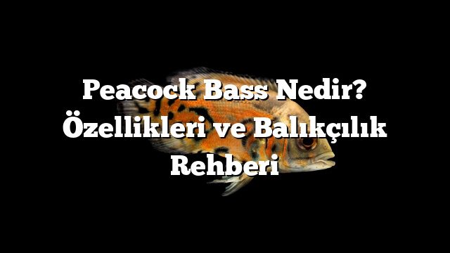 Peacock Bass Nedir? Özellikleri ve Balıkçılık Rehberi